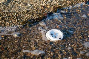 Accounting for plastic persistence can minimize environmental impacts | Envirotec