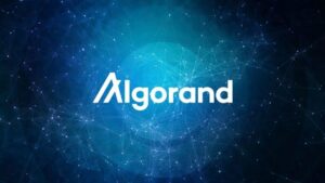 L'account social media del CEO di Algorand colpito dagli hacker