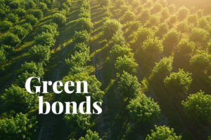 Todo lo que necesitas saber sobre los bonos verdes