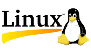 apt-get käsk Linuxis: mõistmine näidete abil