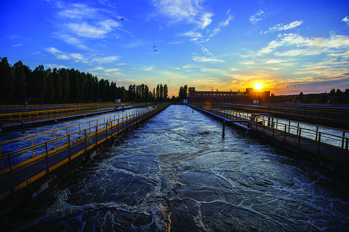 Alchimia bioibrida: trasformare i contaminanti delle acque reflue in sostanze chimiche | Envirotec