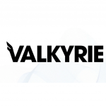 Valkyrie Bitcoin Fund (BRRR) Initially owned by Tennessee-based Valkyrie Investments, the BRRR fund was acquired by CoinShares after the SEC approval on January 12, 2024. The move adds assets worth $112 million to the $4.5 billion already managed by the EU-based crypto asset manager. Along with BRRR, Coinshares also acquired Valkyrie’s other crypto ETFs. Like most other Bitcoin ETFs in January 2024, BRRR offers steep fee discounts to attract buyers. The fund is promising a 3-month waiver in sponsor fees. After that, the fee will be 0.25%. Coinbase is the designated bitcoin custodian of BRRR. Exchange: Nasdaq