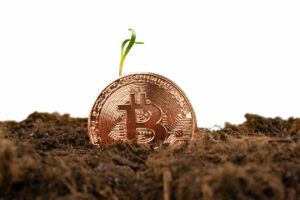 Mila verde a mineritului Bitcoin: 54.5% utilizare durabilă a energiei