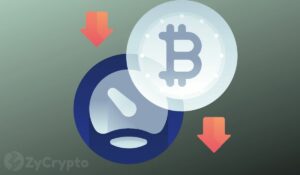Bitcoin Merosot Menuju $40,000 Saat Demam ETF Memudar — Solana, XRP, Cardano, Memimpin Kerugian Altcoin