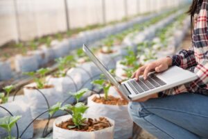Công nghệ chuỗi khối trong kinh doanh nông nghiệp: Tăng cường tính minh bạch và truy xuất nguồn gốc