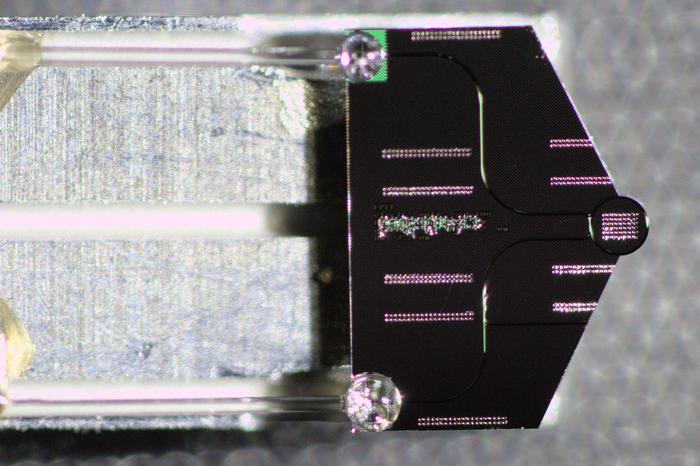 Photonic chip, mounted on a transmission electron microscope sample holder and packaged with optical fibers