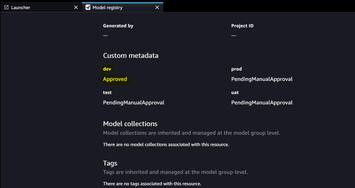 tilpassede metadata for modellregister