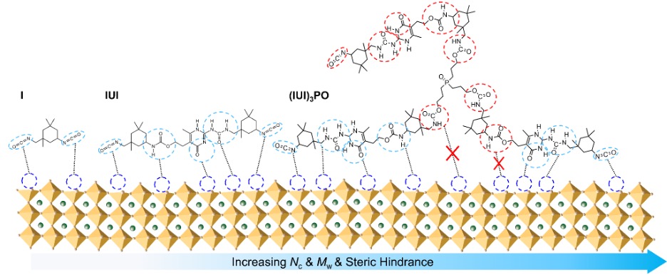 The three additive molecules are arranged along the yellow surface of the perovskite crystals in order of increasing binding site number (Nc), molecular weight (Mw), steric hindrance