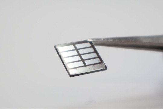 A pair of forceps hold a perovskite solar cell, which looks like a thin, square panel. The cell's electrodes look like silver rectangles on the cell's surface, and the surrounding black surface is the perovskite film