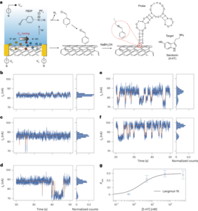 Carbon-nanotube field-effect transistors for resolving single-molecule aptamer–ligand binding kinetics - Nature Nanotechnology