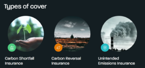 CarbonPool מגייסת 12 מיליון דולר במימון ראשוני ממשקיעים ממוקדי אקלים