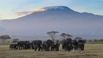 Climbing Mount Kilimanjaro! Lessons for Life and Business! - Supply Chain Game Changer™
