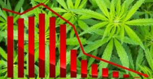 Le vendite di cannabis in Colorado hanno toccato un nuovo minimo mai visto dal febbraio 2017 - La cannibalizzazione del consumatore di cannabis