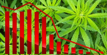 科罗拉多州大麻销量创 2017 年 XNUMX 月以来新低——大麻消费者的蚕食