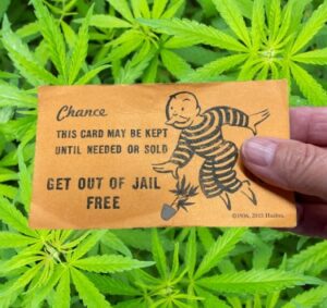 Commettre un meurtre, blâmer l'herbe, obtenir 100 jours de travaux d'intérêt général - La psychose induite par le cannabis comme défense juridique ?