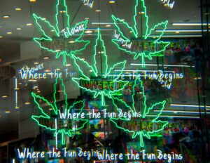 华盛顿特区议会批准对无证大麻礼品店的处罚高时