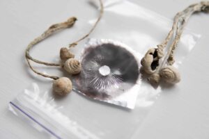 DEA-svar præciserer, at psykedeliske svampesporer er lovlige før spiring
