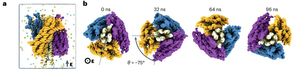 All-atom molecular dynamics simulation of a DNA turbine rotation