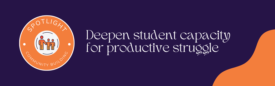 Deepen student capacity for productive struggle