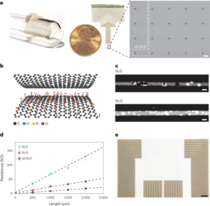 High-density transparent graphene arrays for predicting cellular calcium activity at depth from surface potential recordings - Nature Nanotechnology