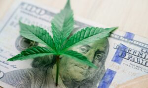Holidays Sales Confirm Marijuana Is Mainstream