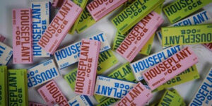 HOUSEPLANT AND OCB PARTNER TO LAUNCH ROLLING PAPERS AND CONES