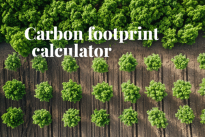 How to use DGB Group's carbon footprint calculator on your journey to net zero