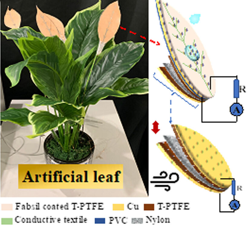 Leaf-inspired nanogenerators use rain and wind to generate green electricity sustainably