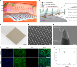 Dreidimensionale Mikroelektroden-Arrays auf Flüssigmetallbasis, integriert in eine implantierbare ultradünne Netzhautprothese zur Wiederherstellung des Sehvermögens – Nature Nanotechnology