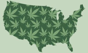 Legalisering av marihuana versus avkriminalisering