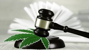 Исключены миллионы преступлений, связанных с марихуаной - Связь с программой медицинской марихуаны