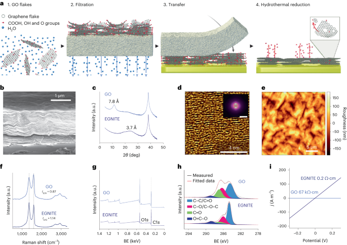 Nanoporowate cienkowarstwowe mikroelektrody na bazie grafenu do rejestracji i stymulacji neuronów in vivo w wysokiej rozdzielczości - Nature Nanotechnology