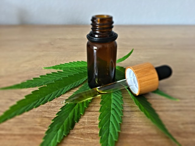 Esplorare il collegamento tra olio di CBD e perdita di peso - Connessione al programma sulla marijuana medica