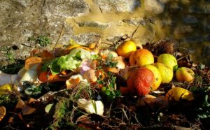 New Database of Federal Grants for Food Waste - CleanTechnica