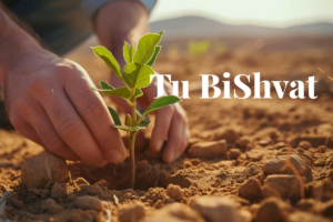 Neujahr für Bäume mit dem Tu BiShvat-Festival