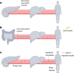Oral insulin with reduced hypoglycaemic episodes - Nature Nanotechnology