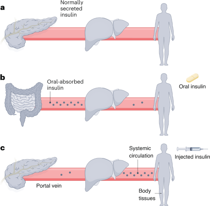 Пероральный инсулин с уменьшением эпизодов гипогликемии - Природные нанотехнологии