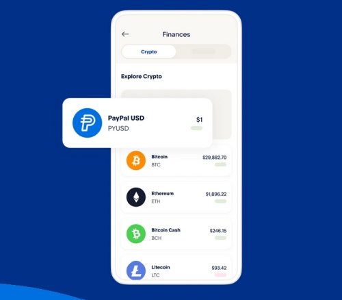 Image PayPal PYUSD from website - PayPal Invests $5M of PYUSD Stablecoin into Startup 'Mesh'