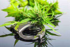 Informe: Más de 2 millones de eliminaciones de antecedentes penales relacionadas con la marihuana desde 2018