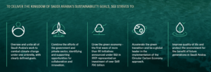 Arábia Saudita impulsiona sua evolução energética verde com captura de carbono