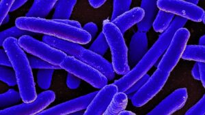 العلماء يقنعون البكتيريا بصنع بروتينات غريبة غير موجودة في الطبيعة