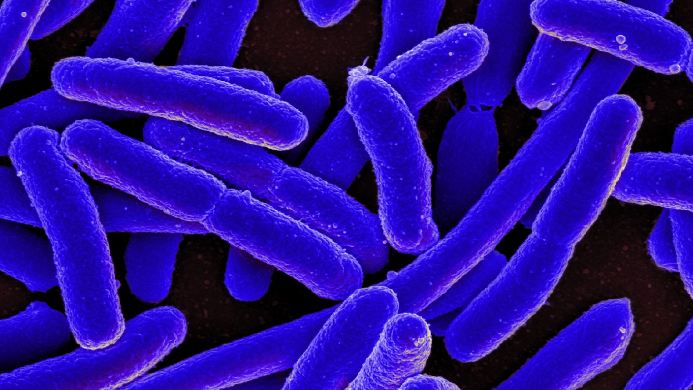 Teadlased meelitavad baktereid tootma eksootilisi valke, mida looduses ei leidu