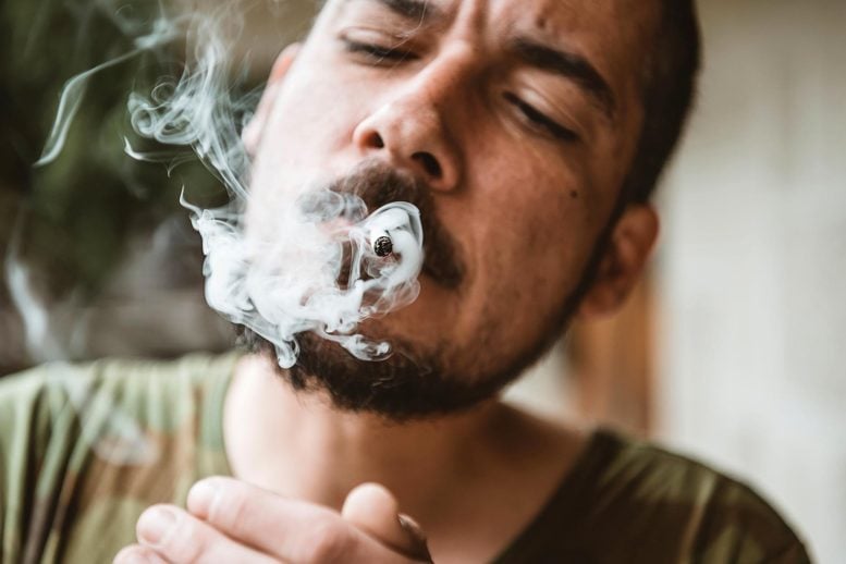 Rökning av marijuana och cigaretter kopplat till ökad lungskada - Anslutning till medicinsk marijuanaprogram