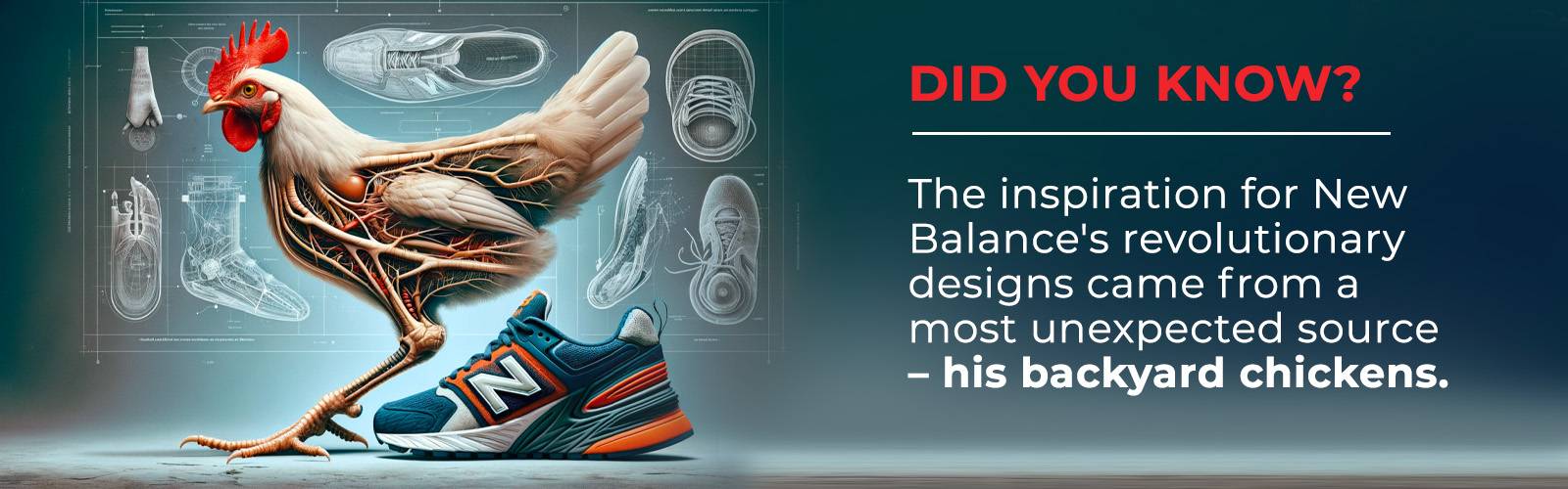 How did New Balance design idea come into place