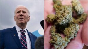 Survey Shows Broad Support for MJ Rescheduling, Boost for Biden if Accomplished