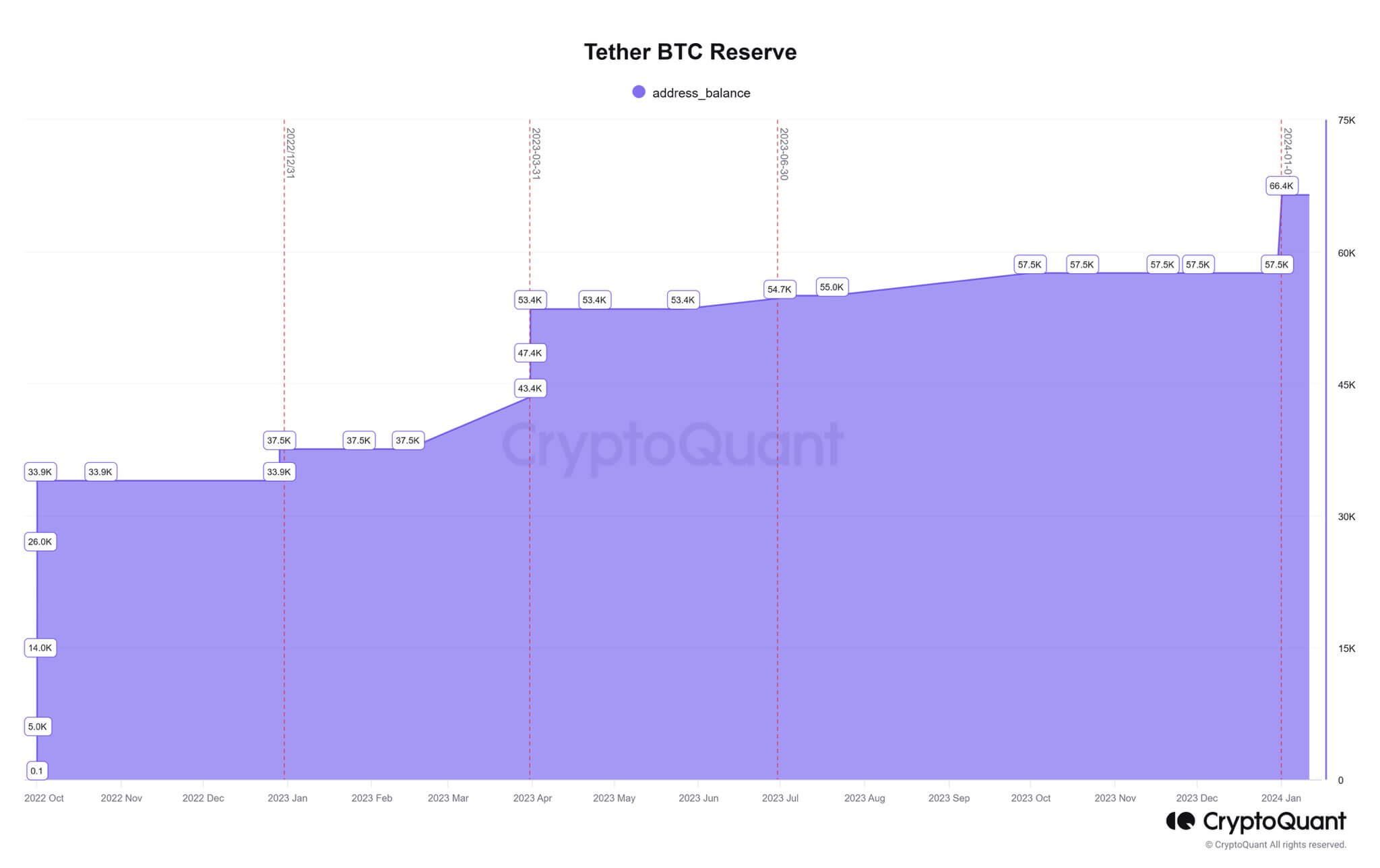 Il portafoglio Bitcoin di Tether sale a 66,400 BTC, totalizzando guadagni non realizzati di oltre $ 1 miliardo