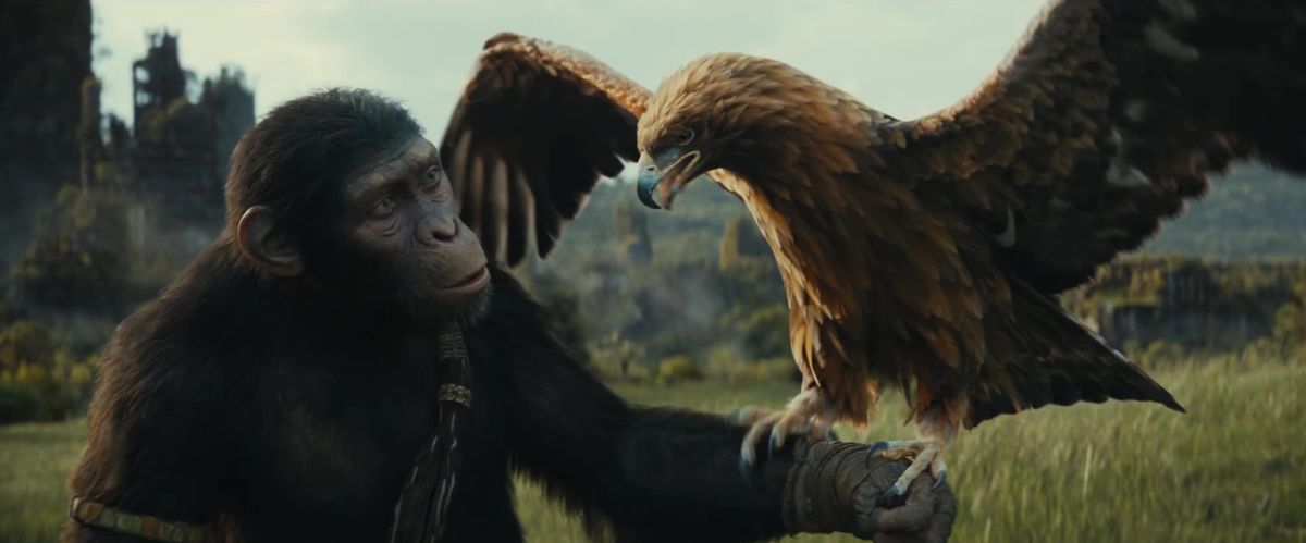 An ape holding a falcon in Kingdom of the Planet of the Apes