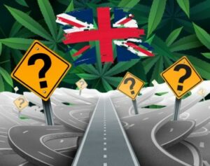 The $850 Million UK CBD Market is a Hot Mess - How Did They Get Here and How Do You Fix It?