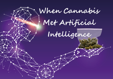 大麻と人工知能の出会い