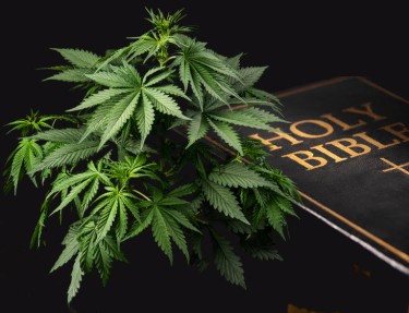 De kerk versus legalisering van cannabis - De moraliteit van marihuana wordt opnieuw in twijfel getrokken.